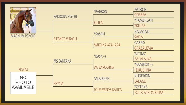 BAY-OAKS-PSYIGNET-PEDIGREE_2014.jpg